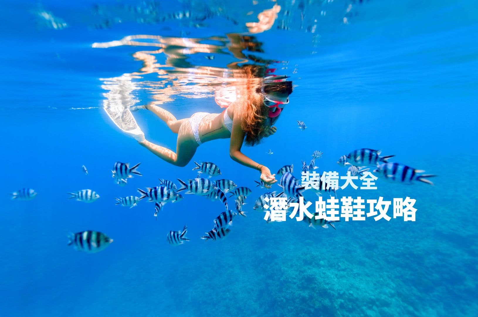 【裝備大全】潛水蛙鞋攻略