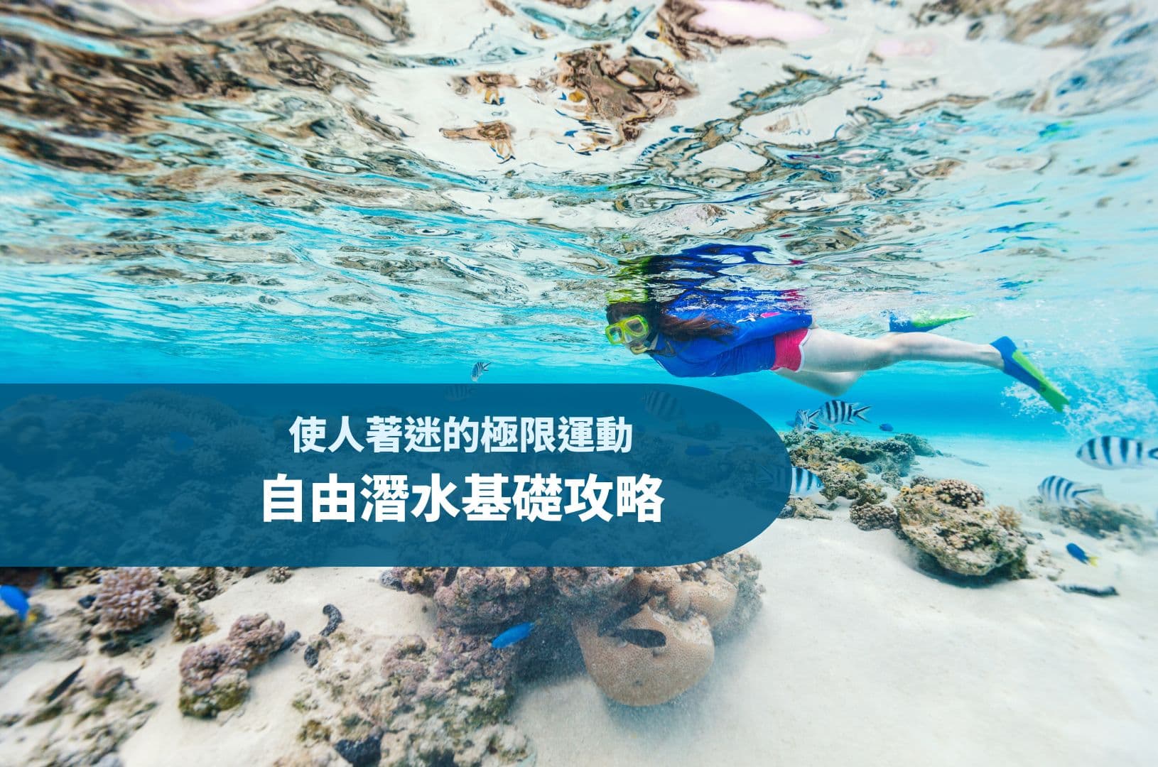 自由潛水基礎攻略|不同潛水系統、基本裝備介紹
