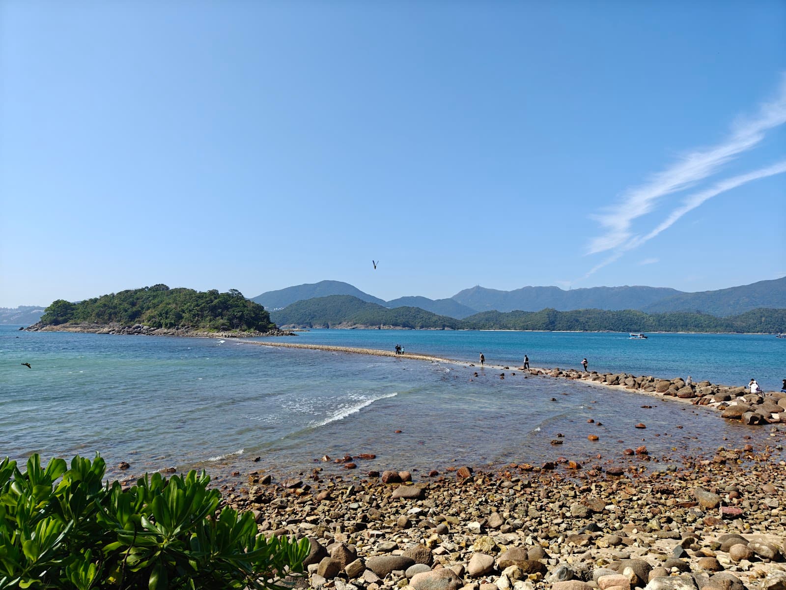 橋咀洲行山攻略:連島沙洲通行時間、菠蘿包石與 1 星路線