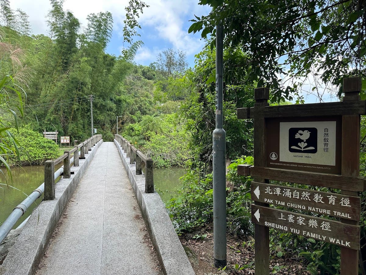 北潭涌短程行山路線:五條一小時內完成的官方路徑