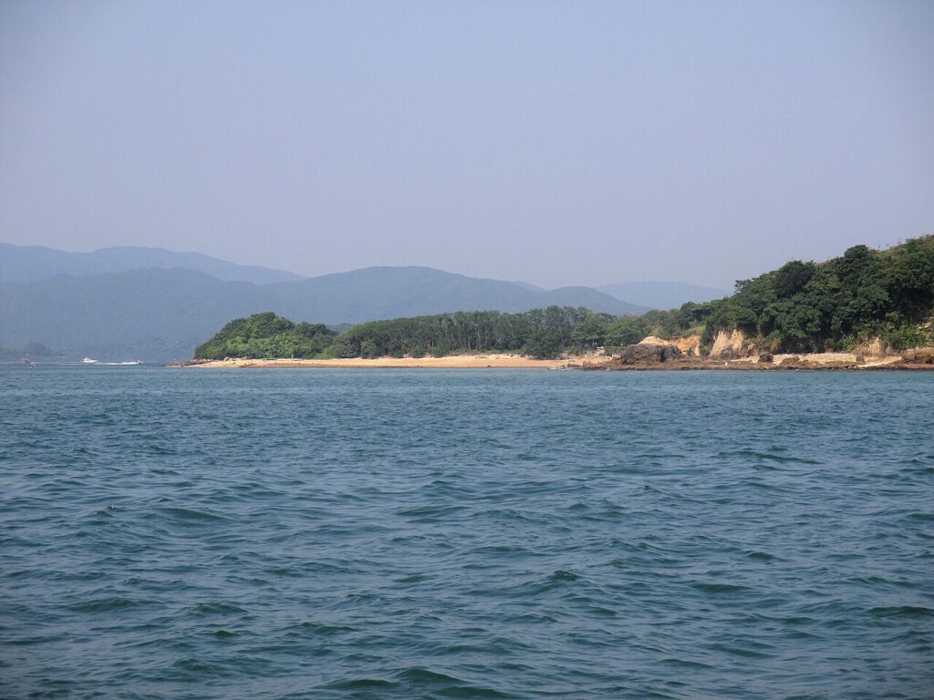 白沙洲的沙灘與樹林，由水面望向岸邊