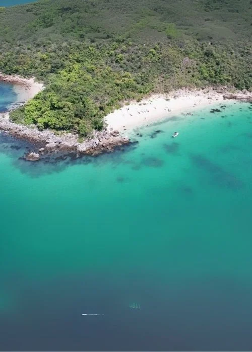 滘西洲海洋生態
