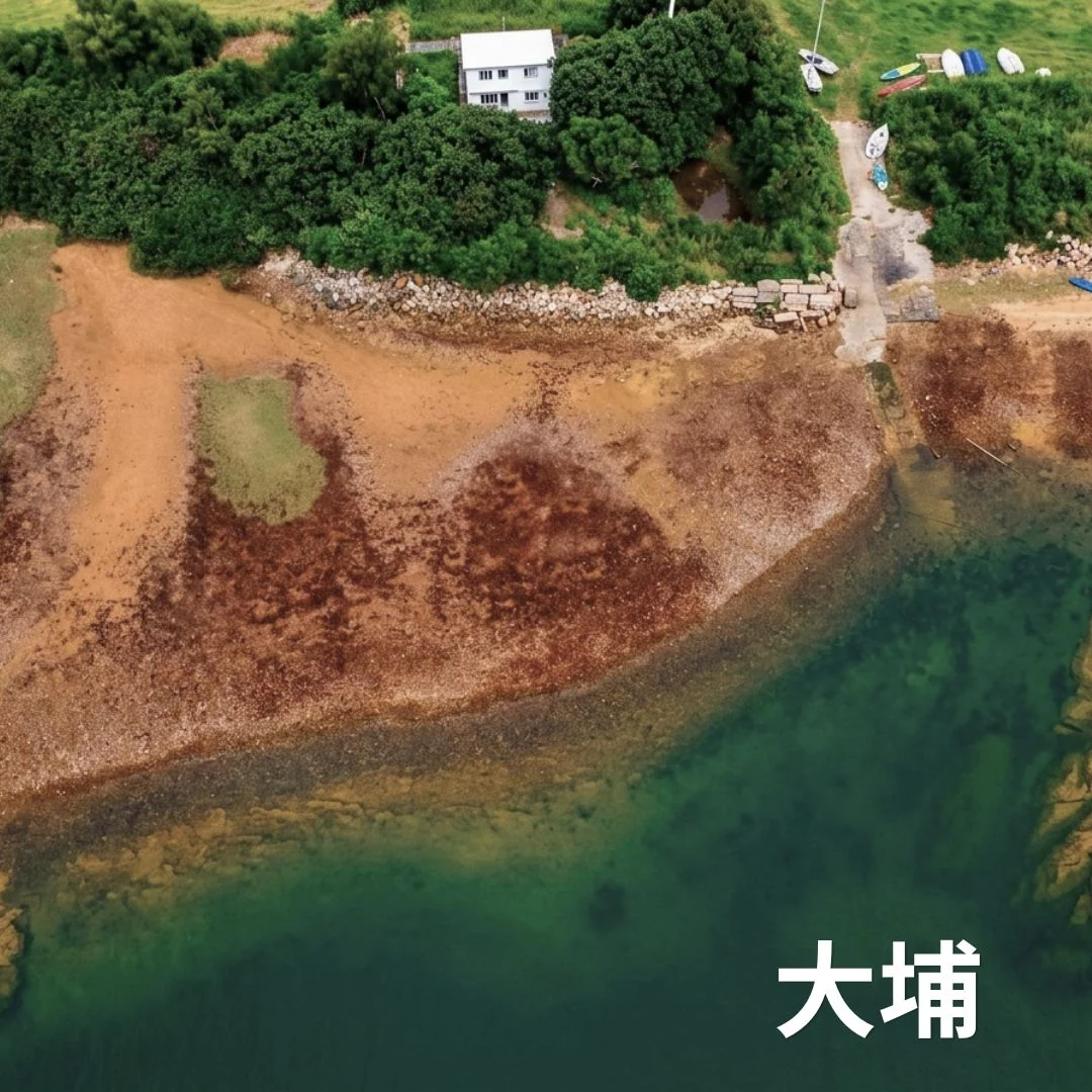 汀角・吐露港周辺のカヤック